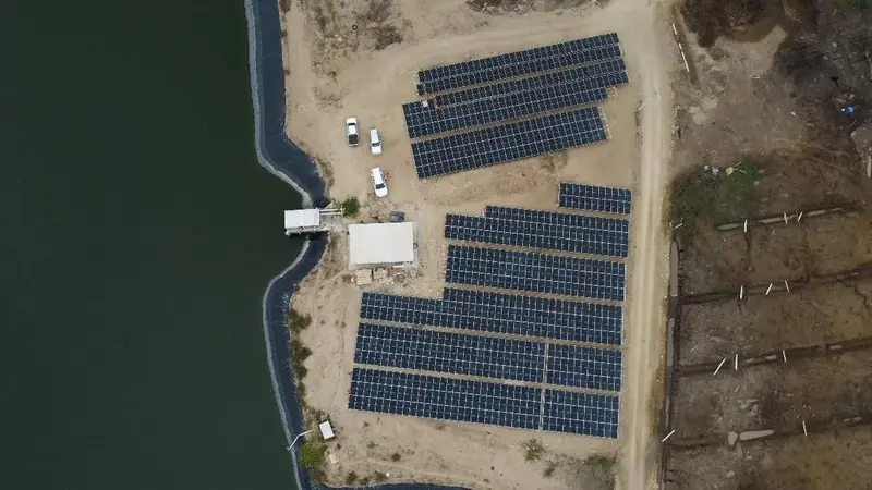 Planta solar sobre piso en una bananera